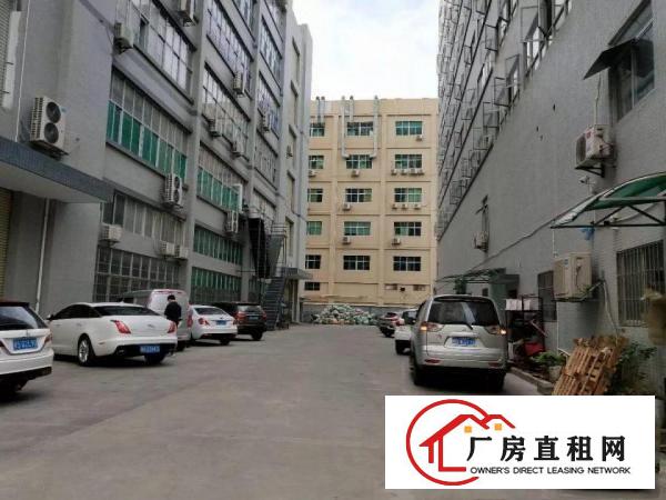 
凤岗新工业园厂房5楼2000平方带水电办公室出租