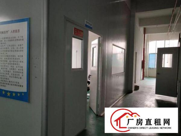 
凤岗新工业园厂房5楼2000平方带水电办公室出租