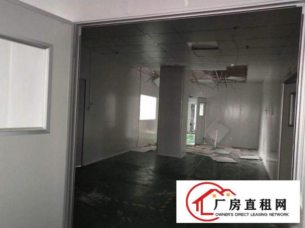 
凤岗新工业园厂房5楼2000平方带水电办公室出租