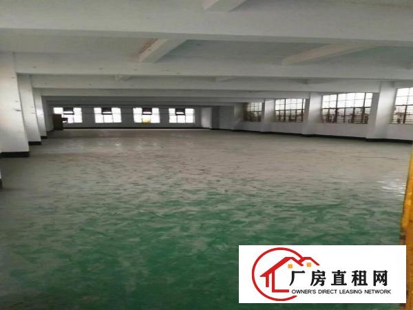 
凤岗独院厂房4500带水电办公室加翻新低租