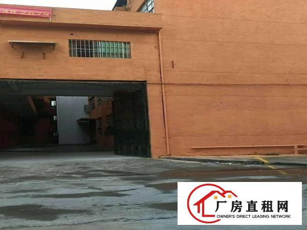
凤岗独院厂房4500带水电办公室加翻新低租