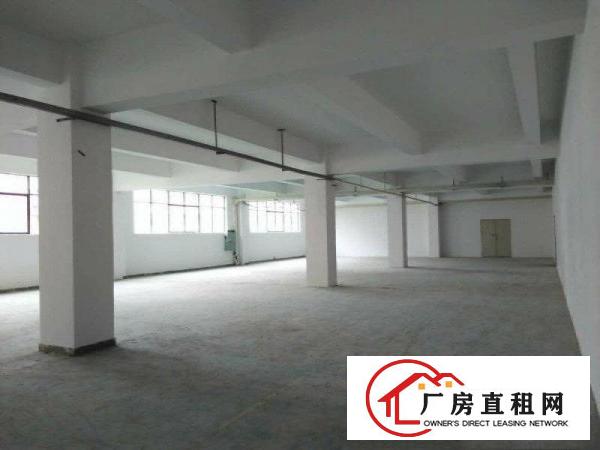 
凤岗大量标准厂房、钢构厂房底价招租