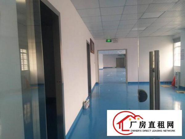 
精品小独院，3楼整层600（送豪华装修）