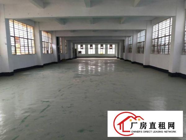 
全新独院厂房4500招租（带豪华办公室）