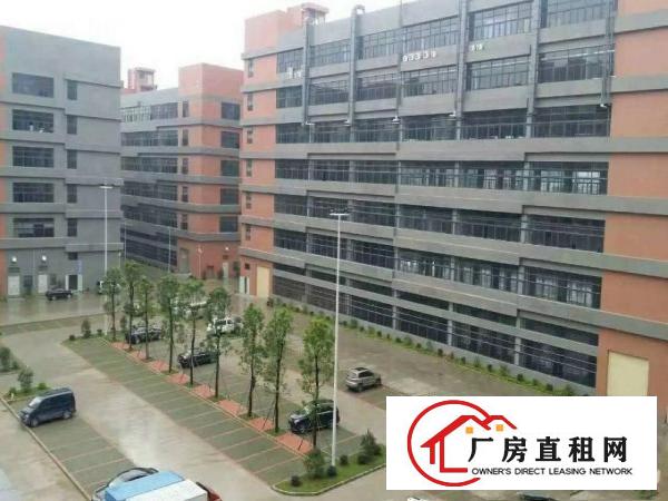 
雁田新出商业街边，楼上450平方！带豪华办公室装修