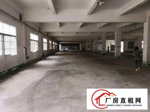 
凤岗金凤凰原房东一楼厂房1700平米，价钱美丽。