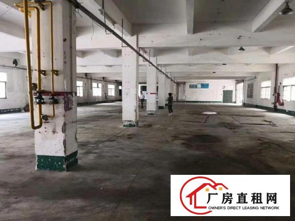 
凤岗金凤凰原房东一楼厂房1700平米，价钱美丽。