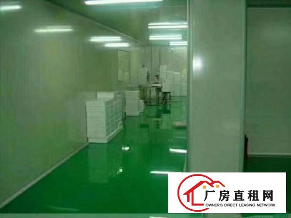 
凤岗五联无尘车间3100平，200万装修免费送！