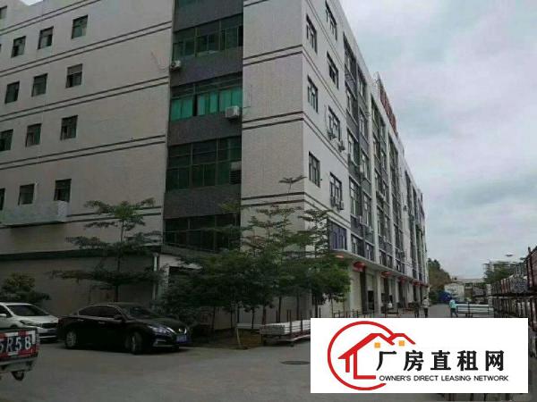 
凤岗五联无尘车间3100平，200万装修免费送！