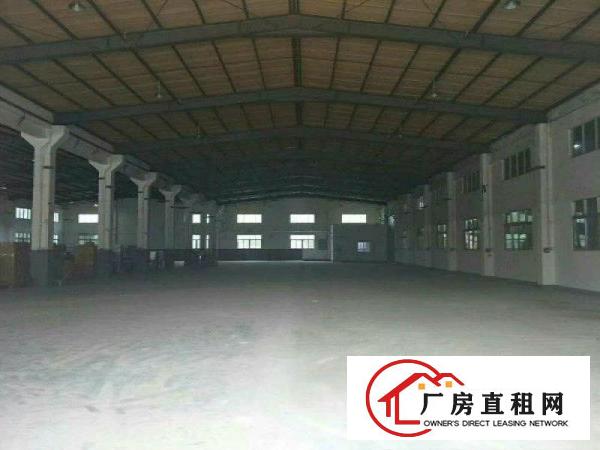 
凤岗金凤凰钢构厂房2000平，带牛角，特价钢构！