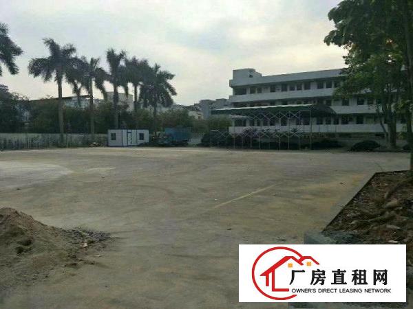 
凤岗金凤凰钢构厂房2000平，带牛角，特价钢构！