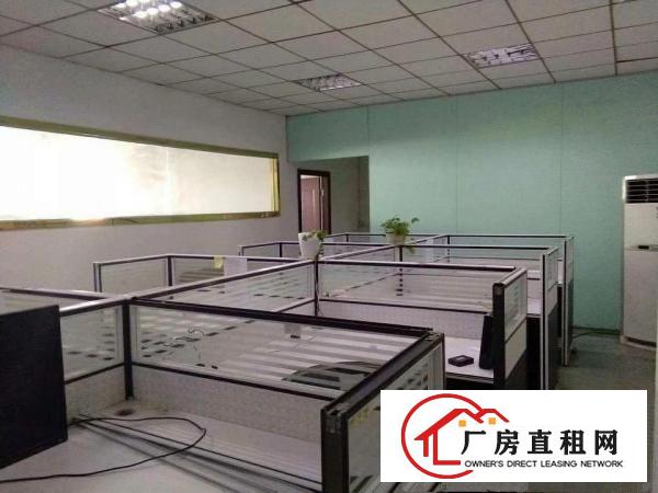 
凤岗金凤凰独院厂房 办公楼 宿舍共3600平米