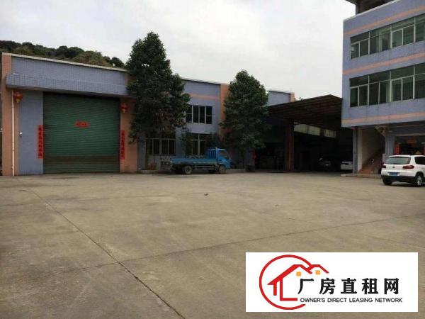 
凤岗金凤凰独院厂房 办公楼 宿舍共3600平米