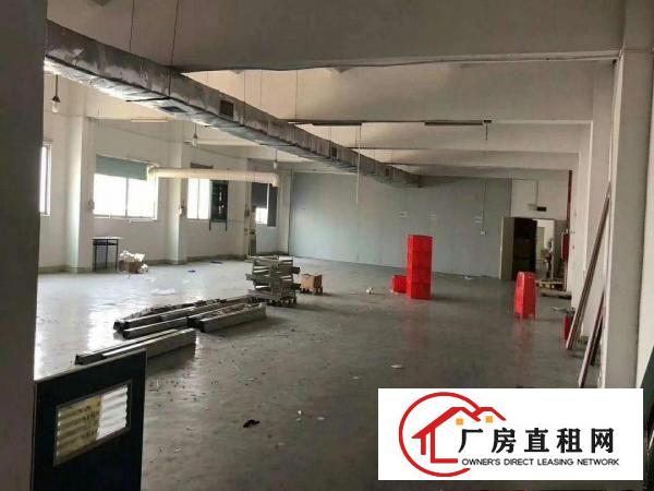 
凤岗雁田4楼1000平厂房，带精品办公室装修