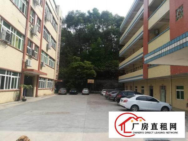 
凤岗全新厂房！带精装修！1600平米，招工方便