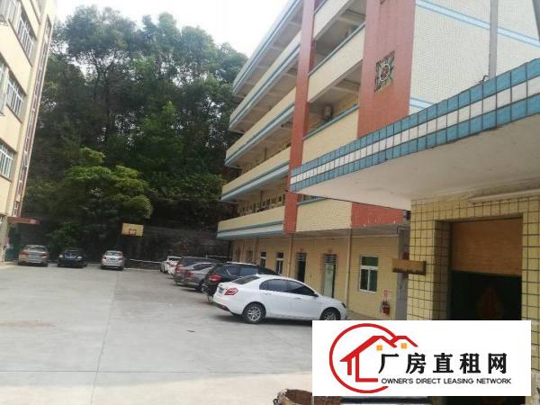 
凤岗全新厂房！带精装修！1600平米，招工方便