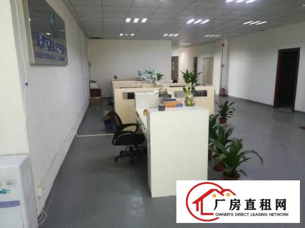 
凤岗全新厂房！带精装修！1600平米，招工方便
