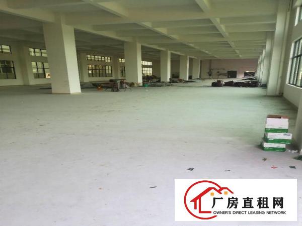 
凤岗全新厂房正式出租2200平米一层，带消防喷淋