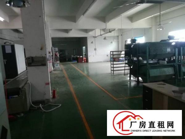 
凤岗新出性价比超高厂房！带电梯，带水电，带办公室！