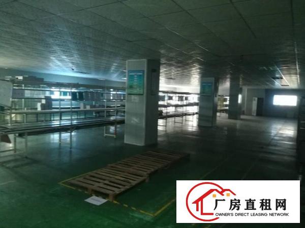 
凤岗新出性价比超高厂房！带电梯，带水电，带办公室！