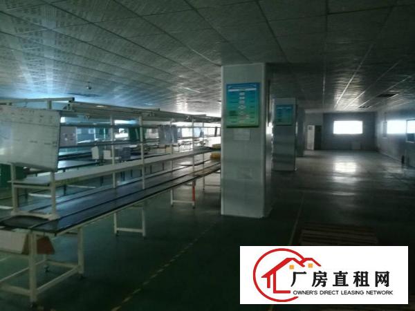 
凤岗新出性价比超高厂房！带电梯，带水电，带办公室！