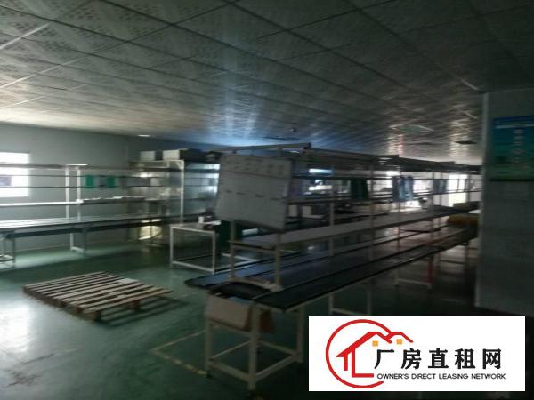 
凤岗新出性价比超高厂房！带电梯，带水电，带办公室！