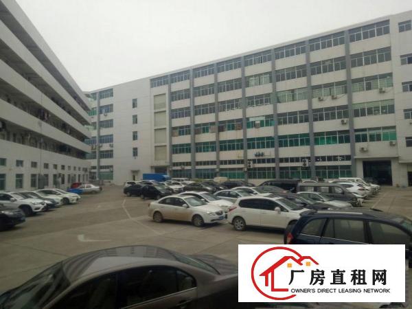 
官井头工业区新出豪华装修2400平米低价出租可分租