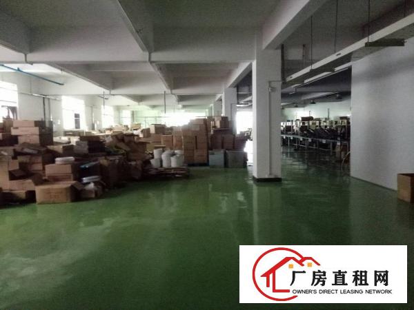 
官井头工业区新出豪华装修2400平米低价出租可分租