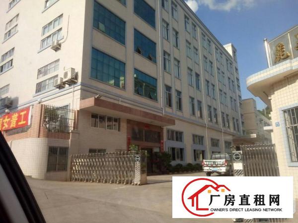 
金凤凰工业区新出一楼800二楼1200平带水电装修