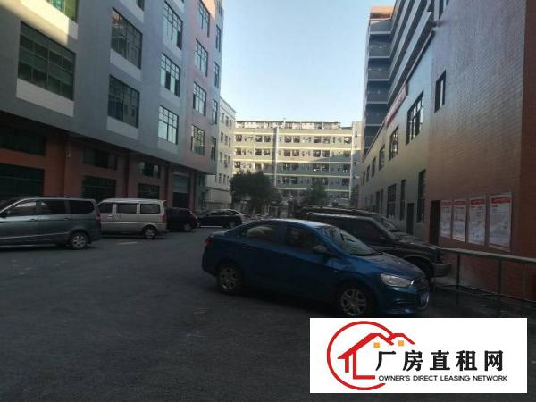 
原房东，豪华精装修。无需转让费，园区形象大气。
