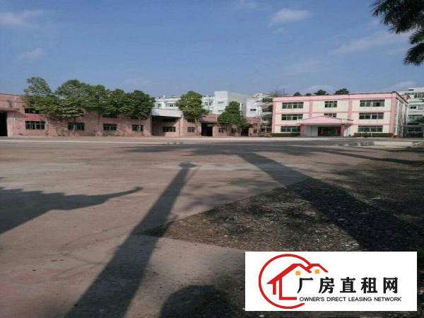 
金凤凰工业区八米高带牛角厂房仓库出租面积2100平