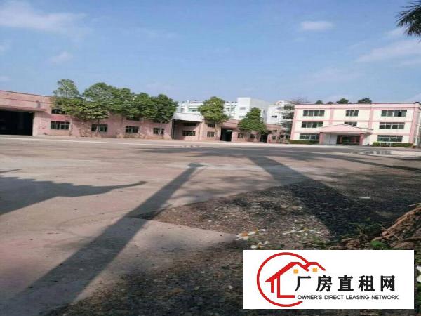 
金凤凰工业区八米高带牛角厂房仓库出租面积2100平