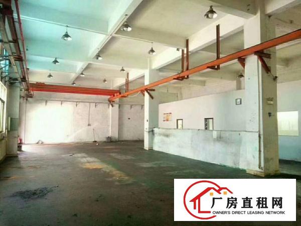 
凤岗雁田新出一楼750标准厂房