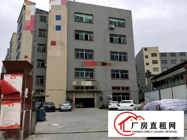 
油干埔精装新厂房750平米