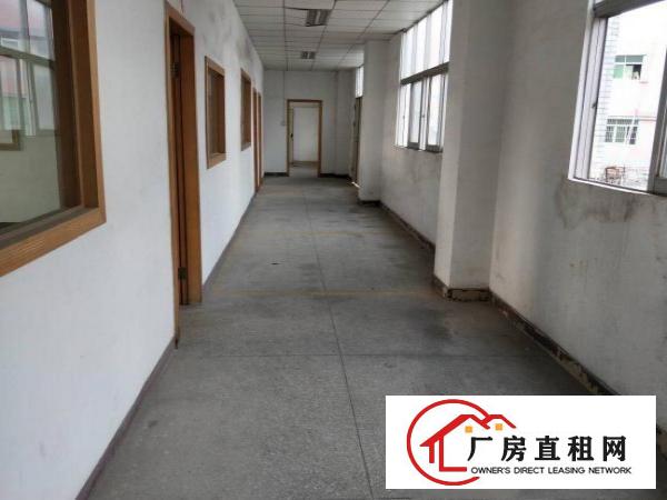 
官井头繁华地段新出4300平小独院，易招工。