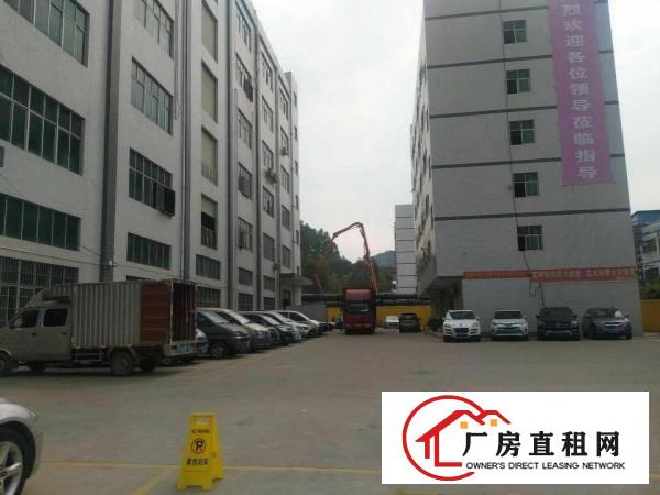 
金凤凰工业园5.5米高一楼1450平米低价招租！！