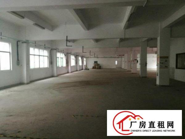 
凤岗雁田经典独院厂房2栋大小分租