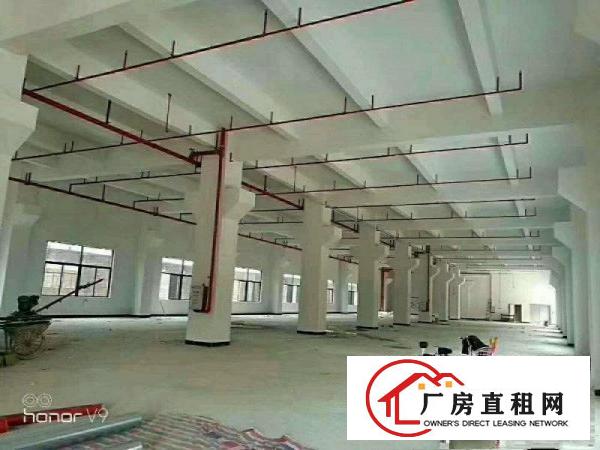 
凤岗天堂围原房东2栋全新厂房底价招租