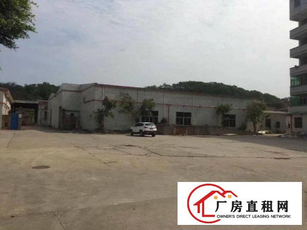 
业主直招！凤岗8米高钢结构厂房800平行业不限