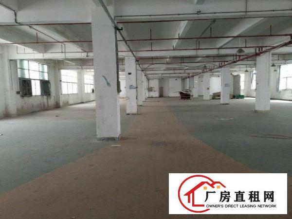 
凤岗深圳交界处大型花园式工业厂房11万平招租