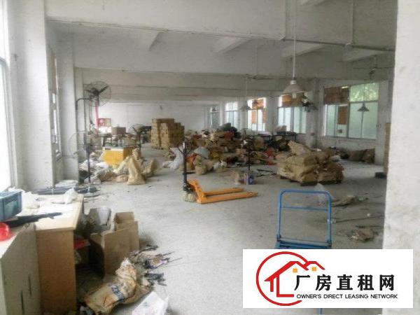 
凤岗雁田新出一楼厂房900平20元出租