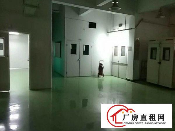 
凤凰镇金凤凰原房东新出4800平方无尘车间