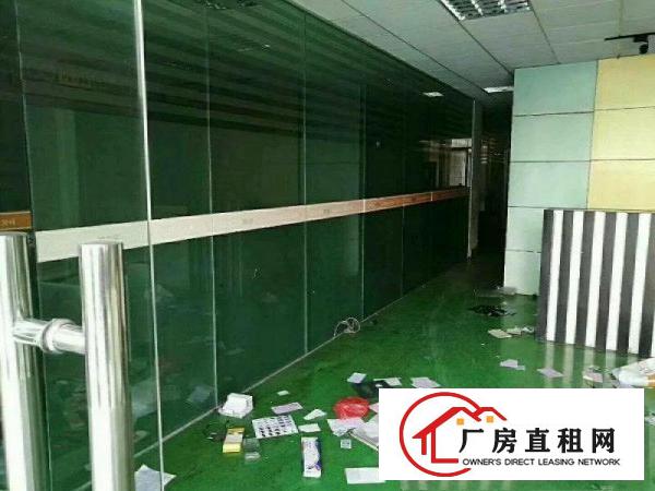 
凤凰镇金凤凰原房东新出4800平方无尘车间