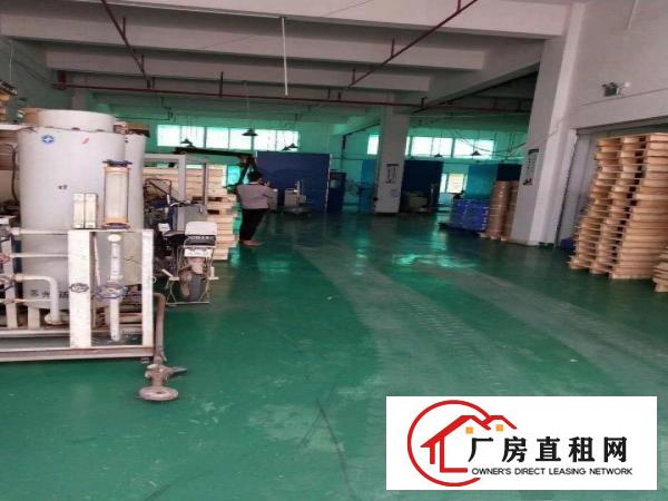
凤岗镇黄洞村独门独院