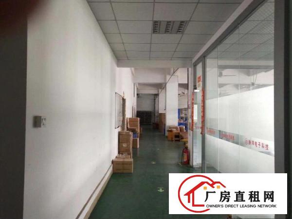 
凤岗镇黄洞村独门独院