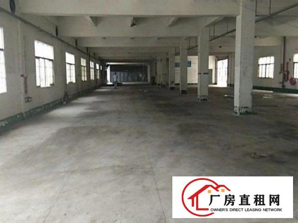 
凤岗镇原房东厂房出租