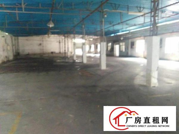 
凤岗镇原房东厂房出租