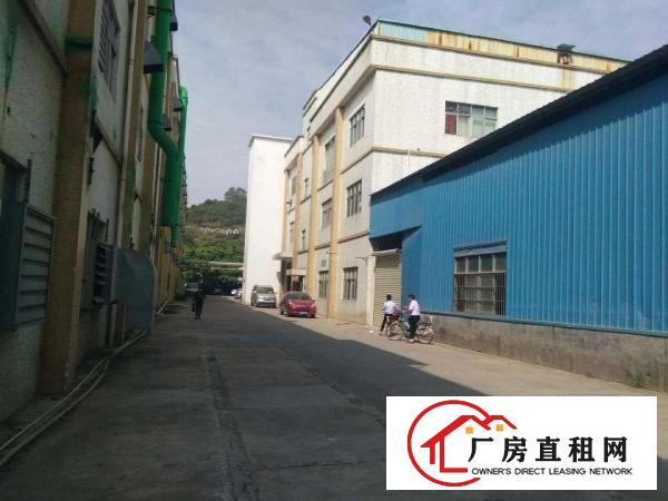 
凤岗镇原房东厂房出租