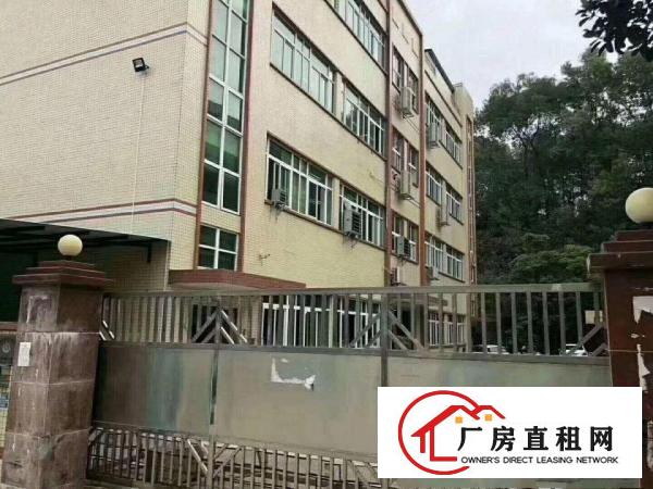
塘厦原房东红本独院厂房直租