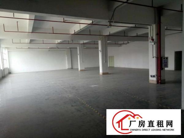 
塘厦原房东红本独院厂房直租